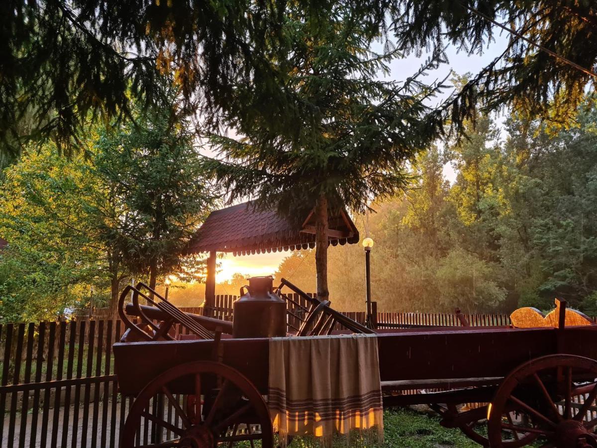 La Padure Hotel Brebu Eksteriør billede